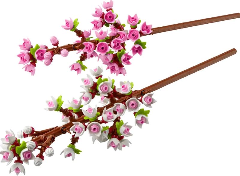 Botanicals: Cherry Blossoms