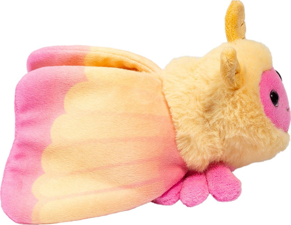 Rosy Maple Moth