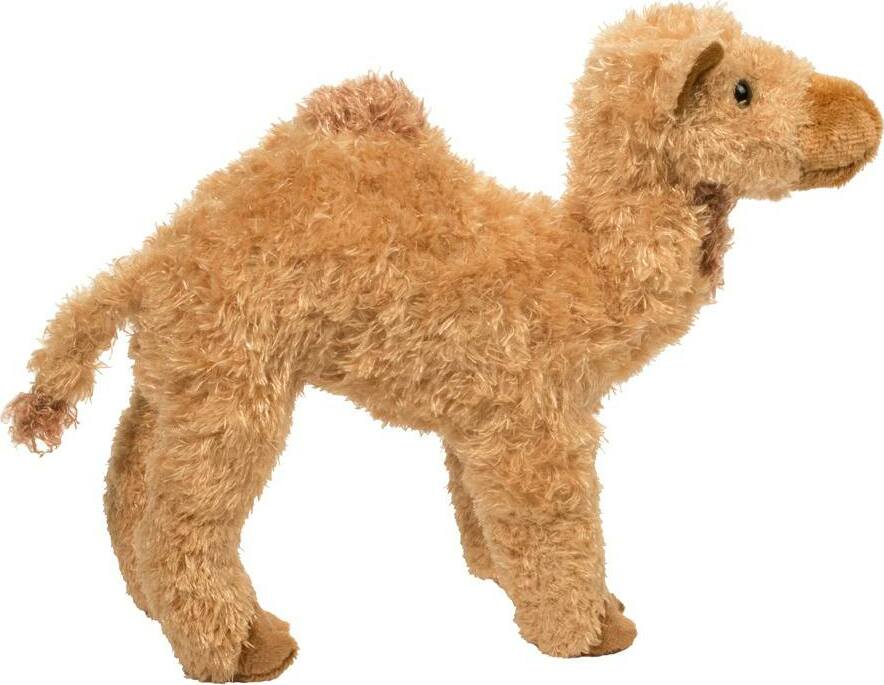 Lawrence Camel