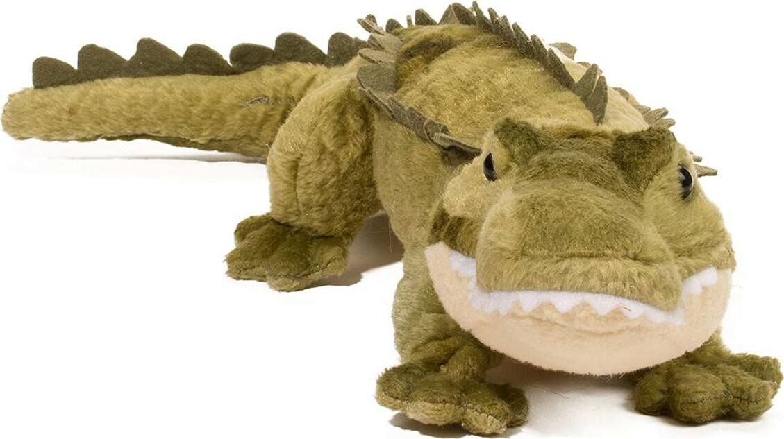 Stream Line Alligator