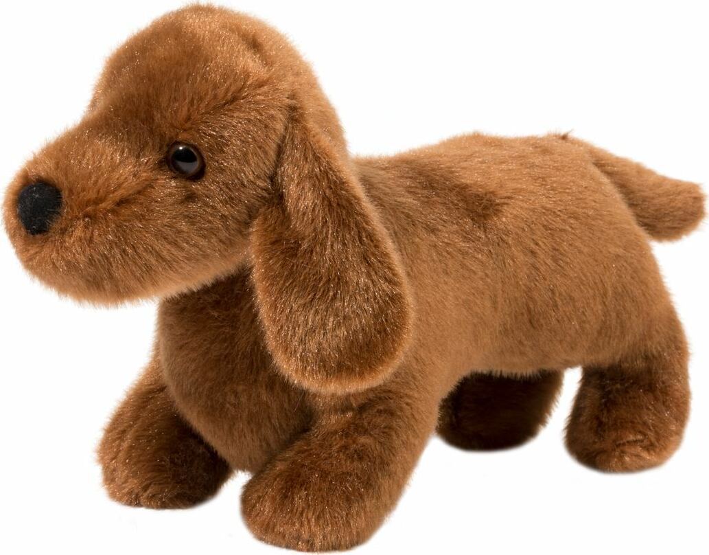 Dilly Dachshund