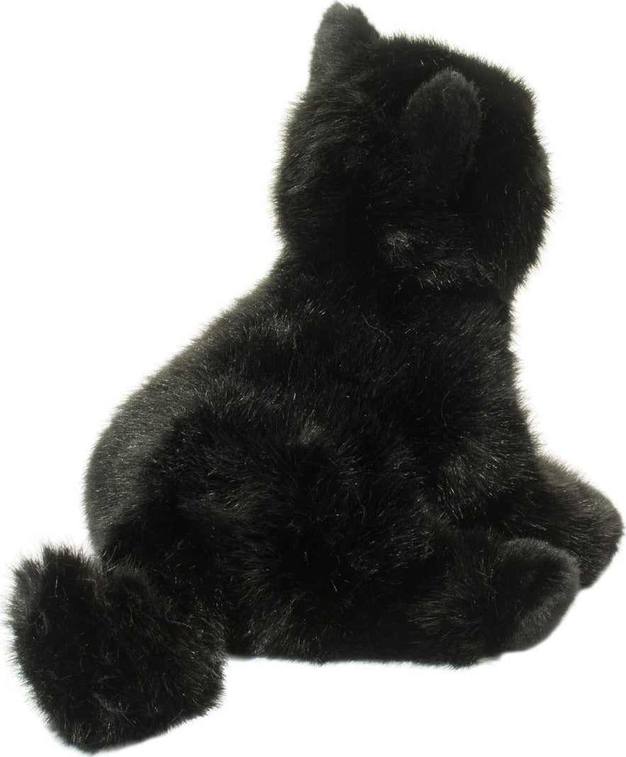 Salem Black Cat