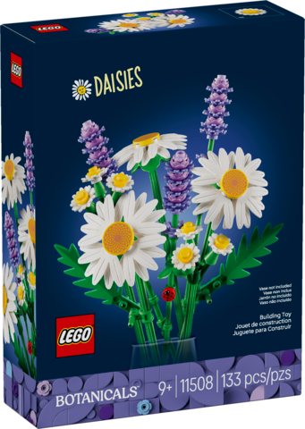 Botanicals: Daisies