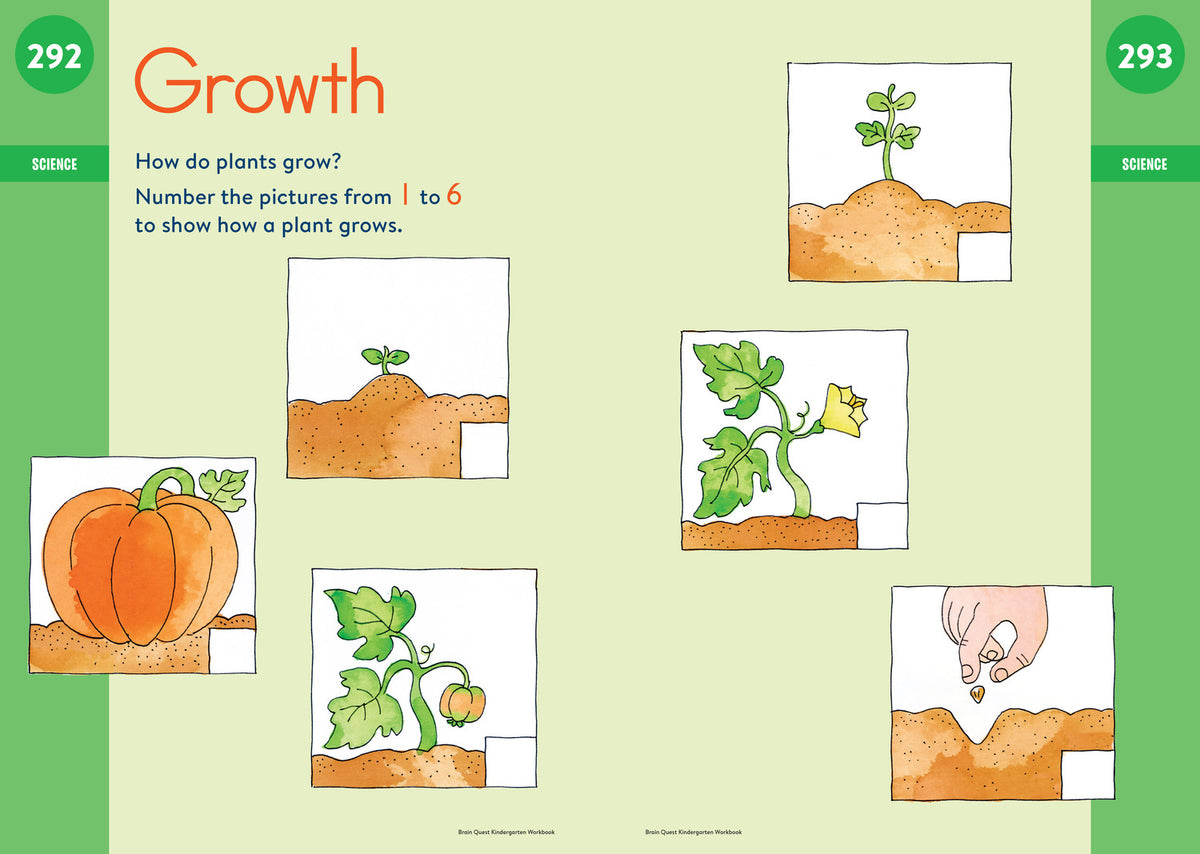 Brain Quest Workbook: Kindergarten Revised Edition