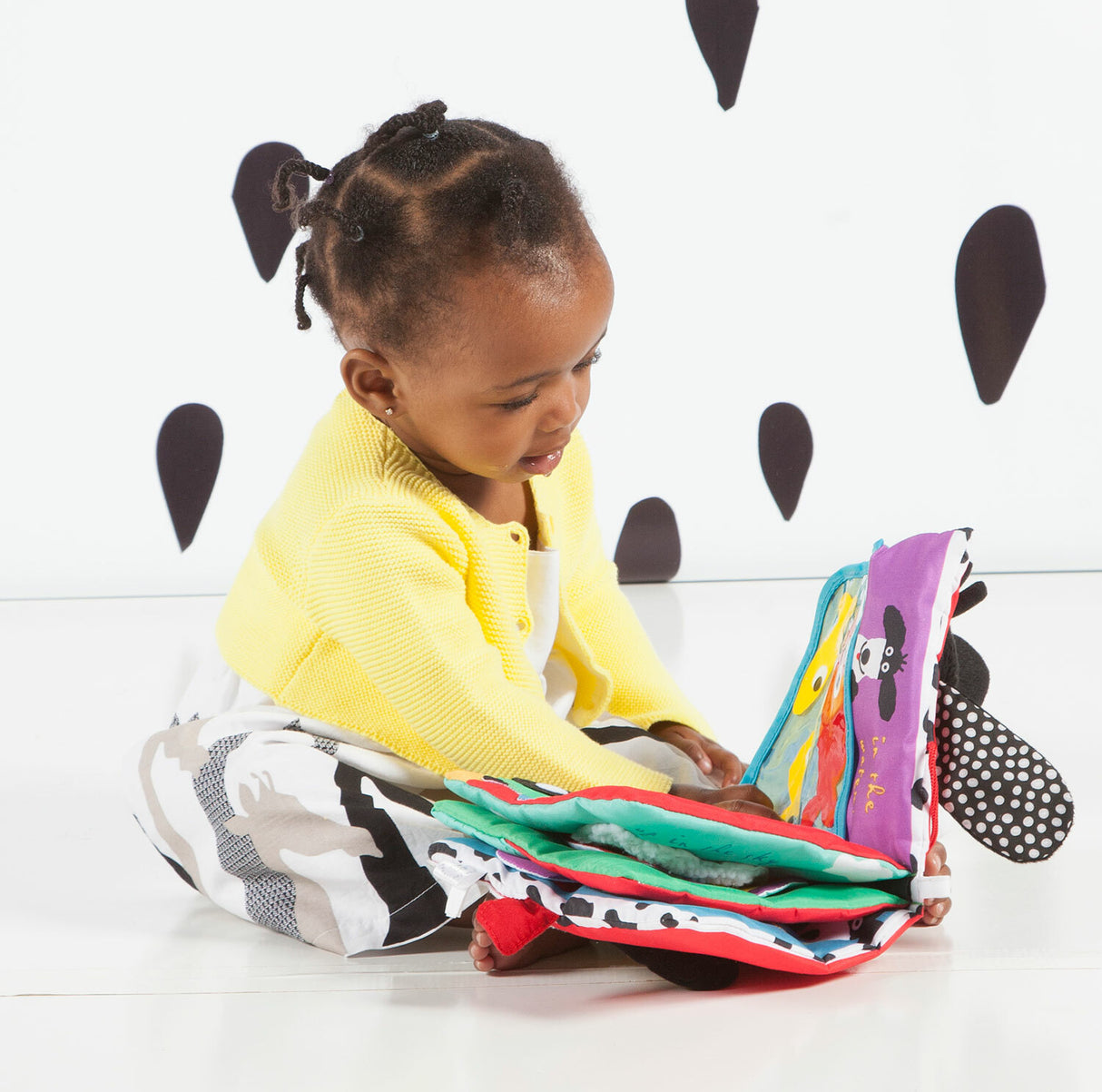 Where's the Bone? Book