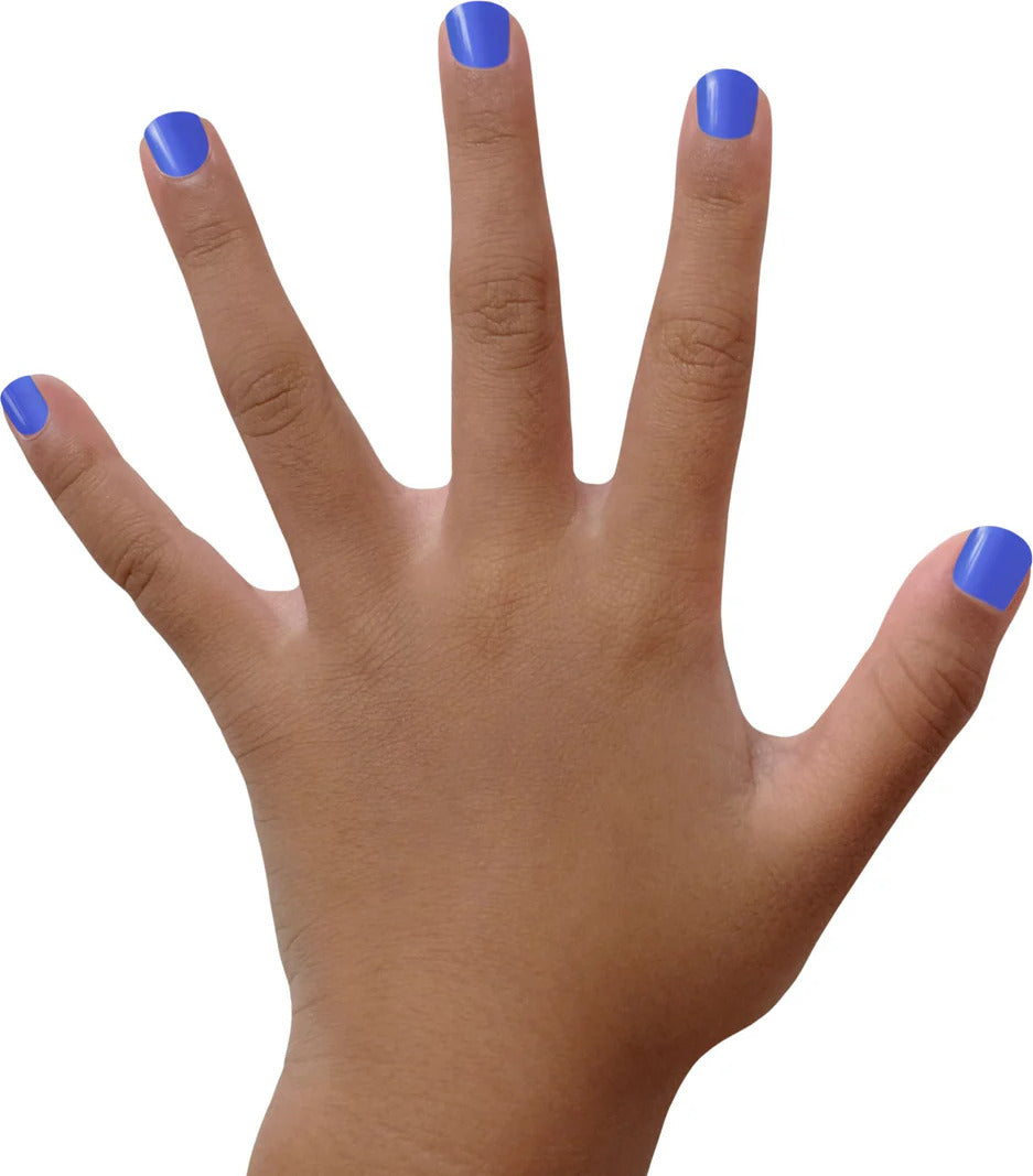 Piggy Paint (Blueberry Patch - Matte Blue)