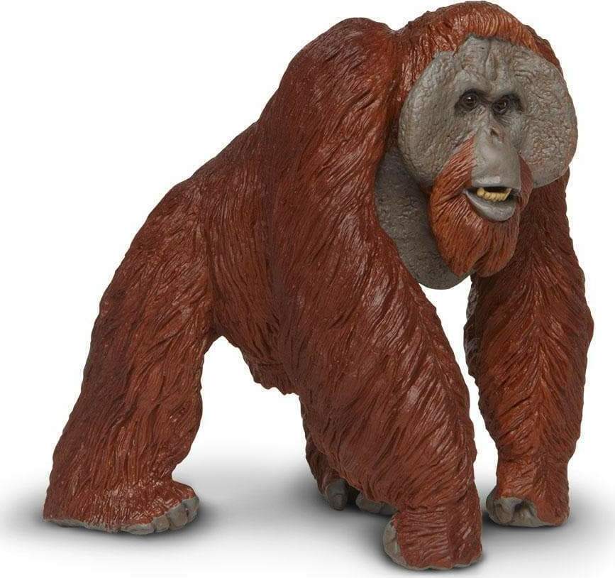Bornean Orangutan Toy