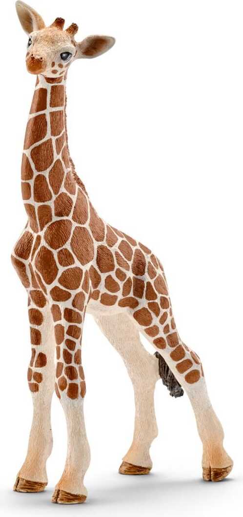 Giraffe Calf Safari Animal Toy