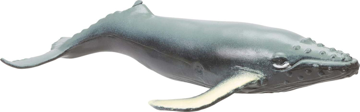 Ocean Squishimals (Assorted)