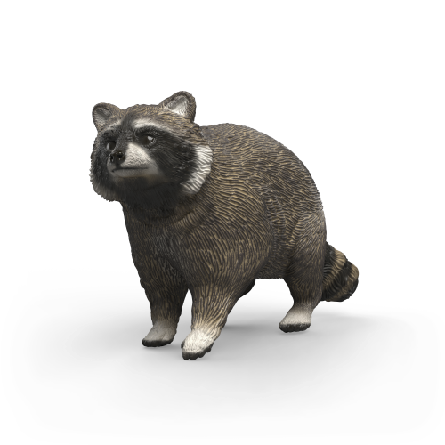Racoon Figure