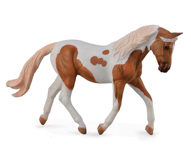 English Horses: Palomino Pinto Mare