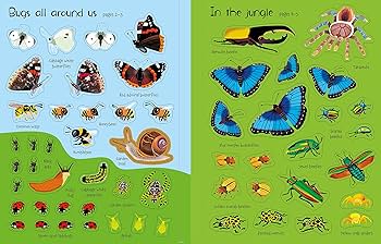 First Sticker Book: Bugs