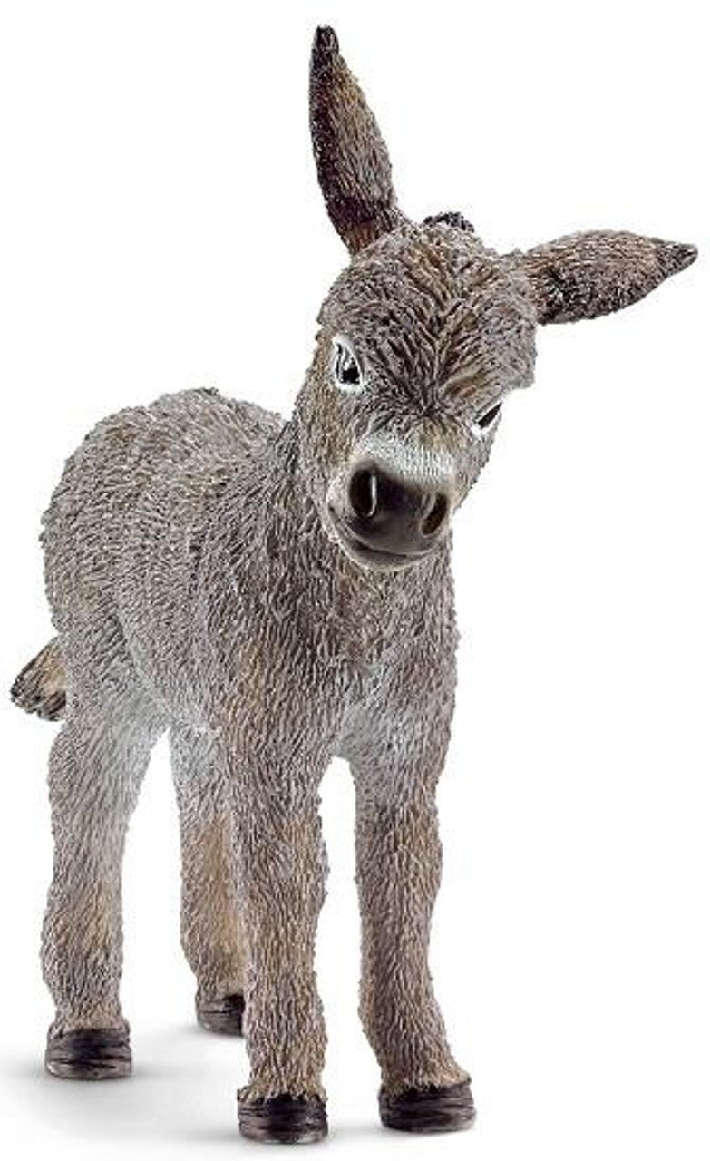 Donkey Foal