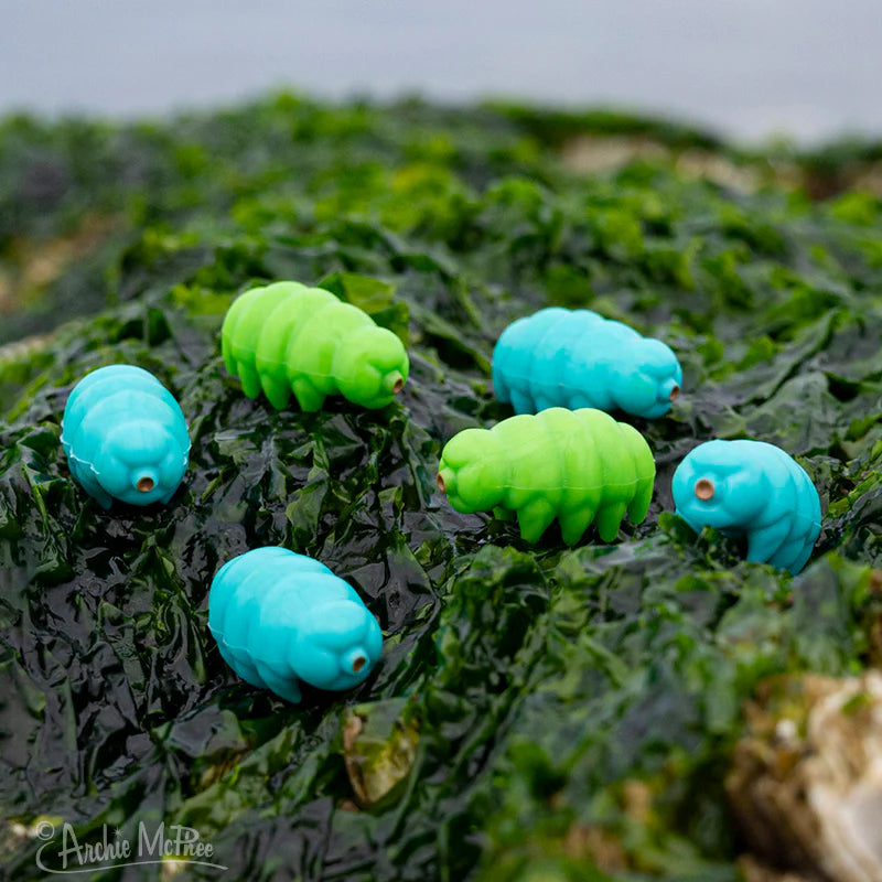 Itty Bitty Tardigrades EACH