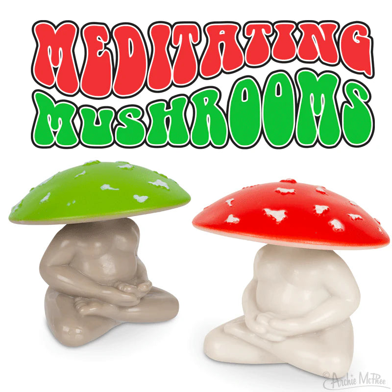 Meditating Mushroom