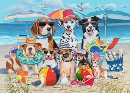 35pc Beach Buddies