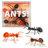 Ants!