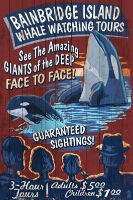 LP Magnets:  BI Orca Vintage