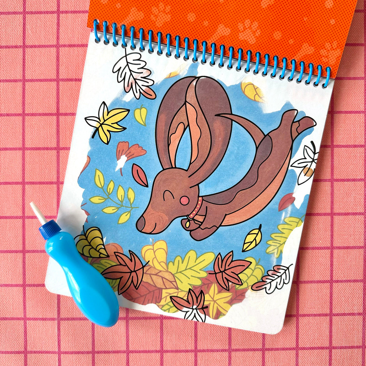 Splash-Tastic Pets