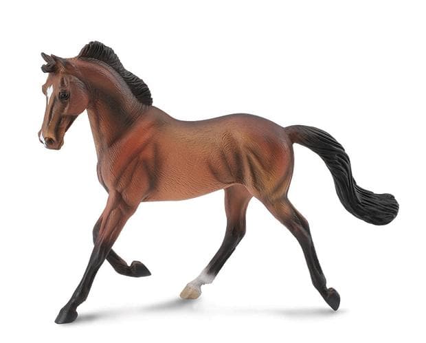 English Horses: Bay Thoroughbred Mare