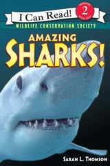 I Can Read: Amazing Sharks