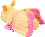 Rosy Maple Moth