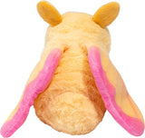 Rosy Maple Moth