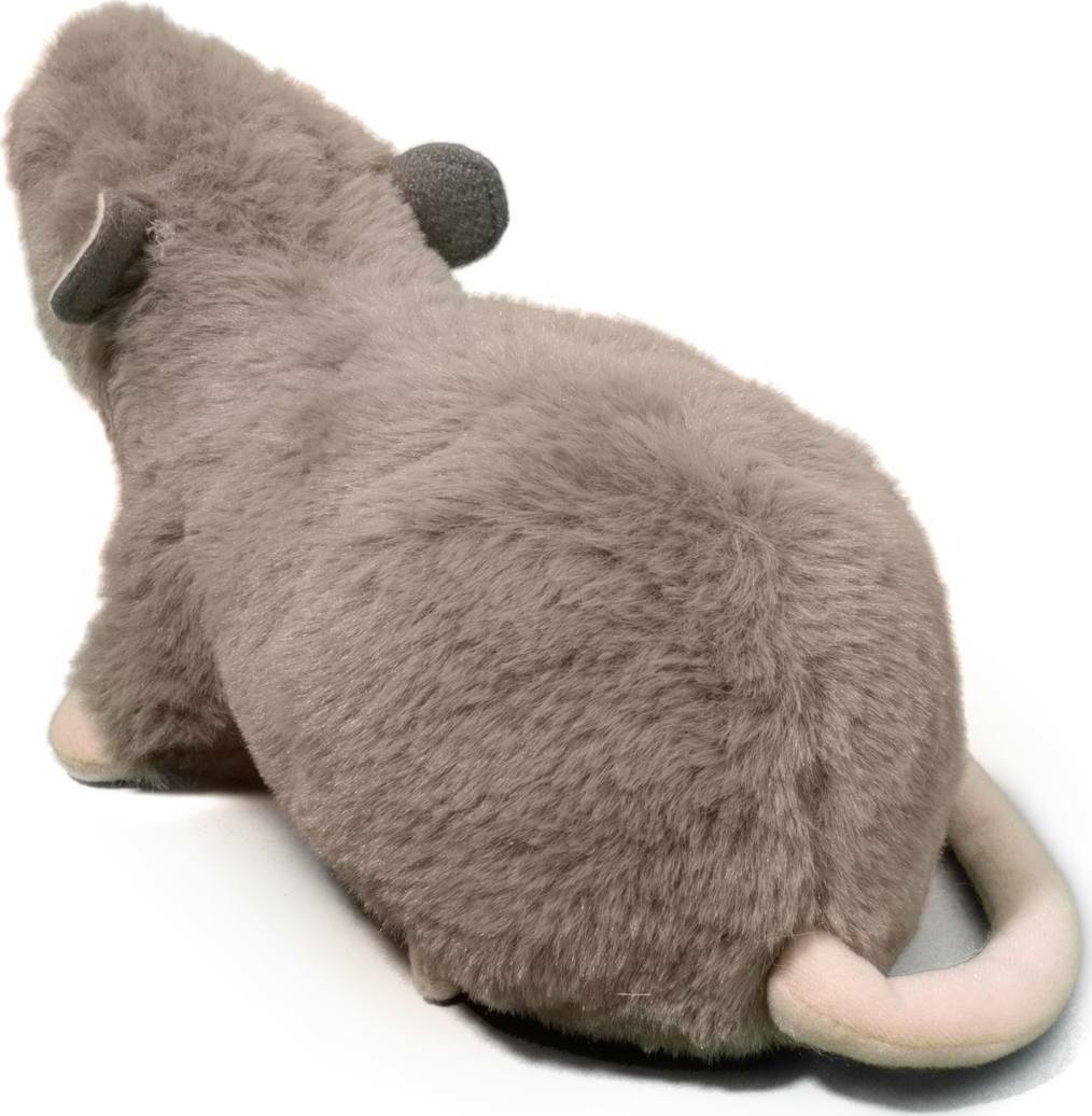 Ralph Rat