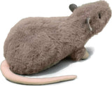 Ralph Rat