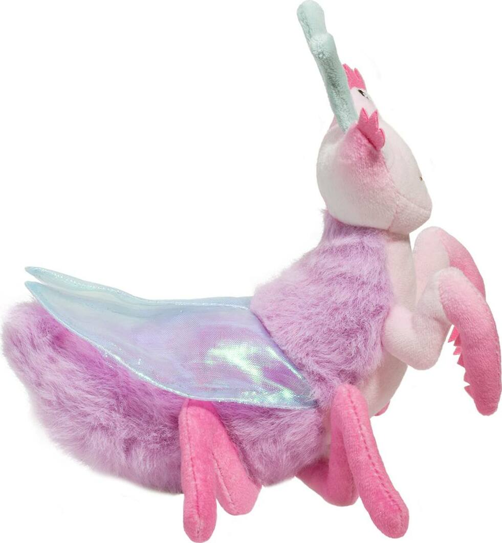 Ophelia Orchid Mantis