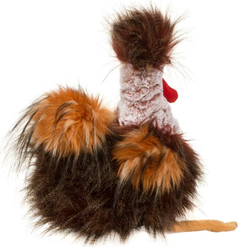 Ricardo Rooster