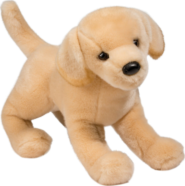 Mandy Yellow Lab