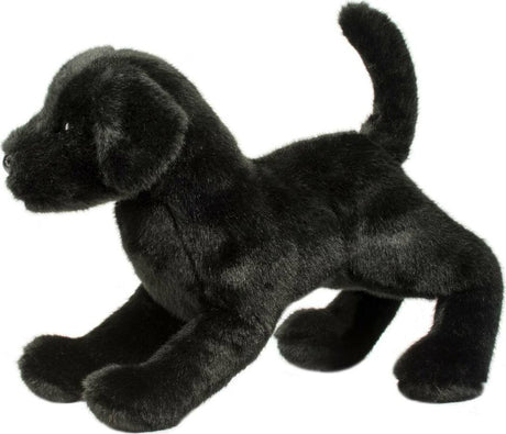 Chester Black Lab