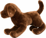 Cocoa Chocolate Lab