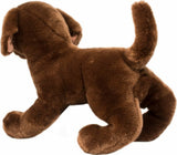 Cocoa Chocolate Lab