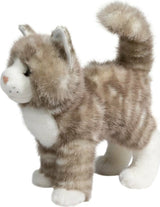 Zipper Gray Tabby Cat