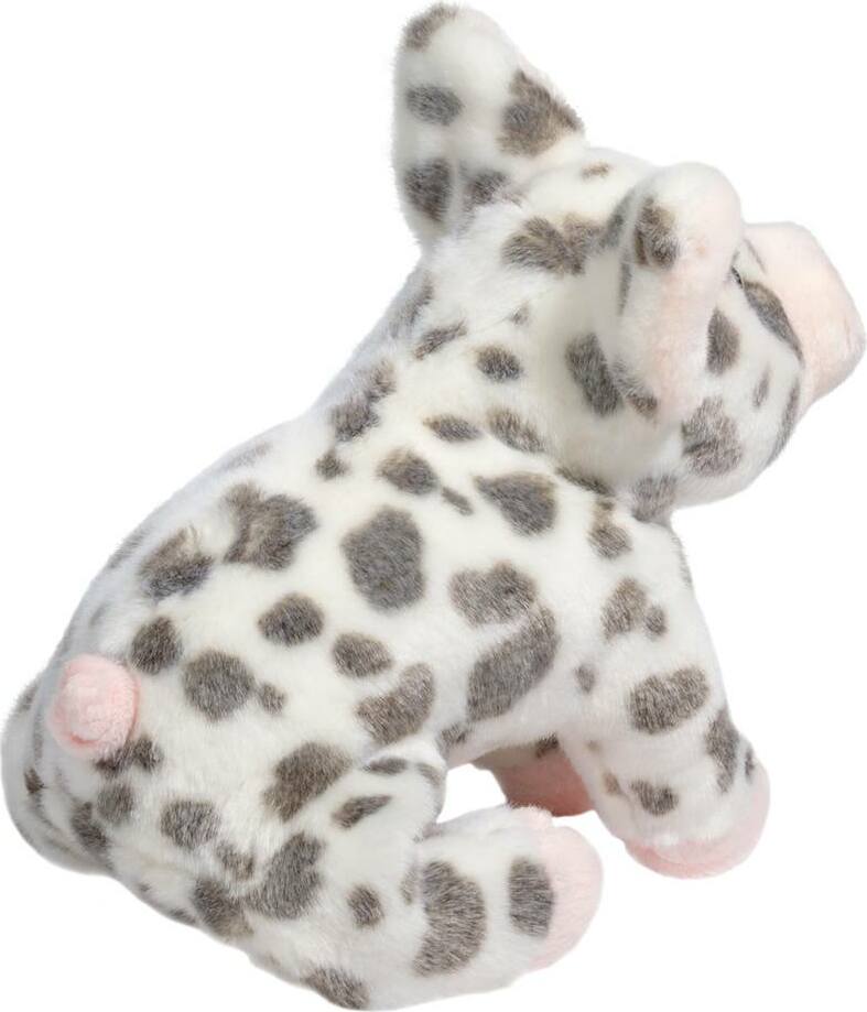 Pauline Spotted Pig, Small