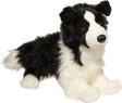 Chase Border Collie