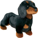 Spats Black and Tan Dachshund