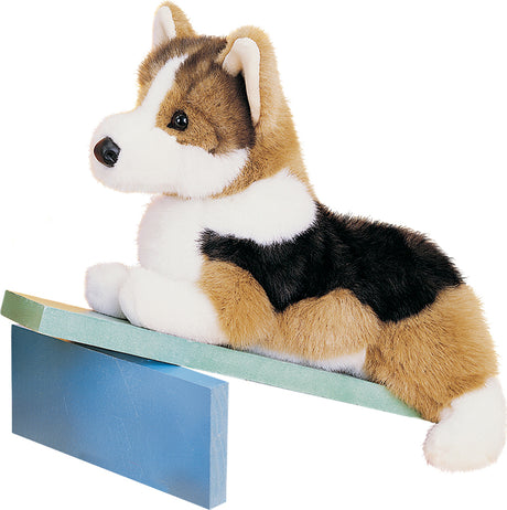 Kirby Tri-Colored Corgi