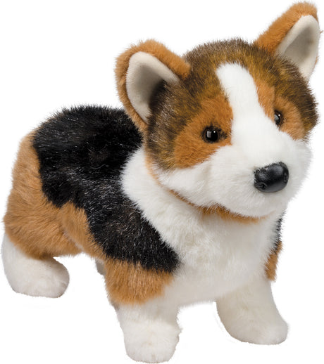 Kirby Tri-Colored Corgi