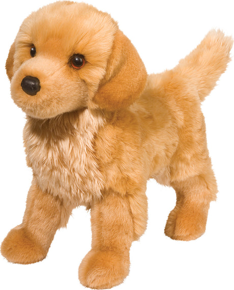 King Golden Retriever