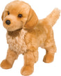 King Golden Retriever