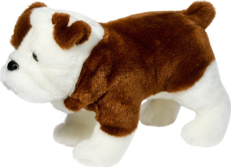 Hardy Bulldog
