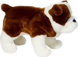 Hardy Bulldog