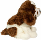 Chip Springer Spaniel