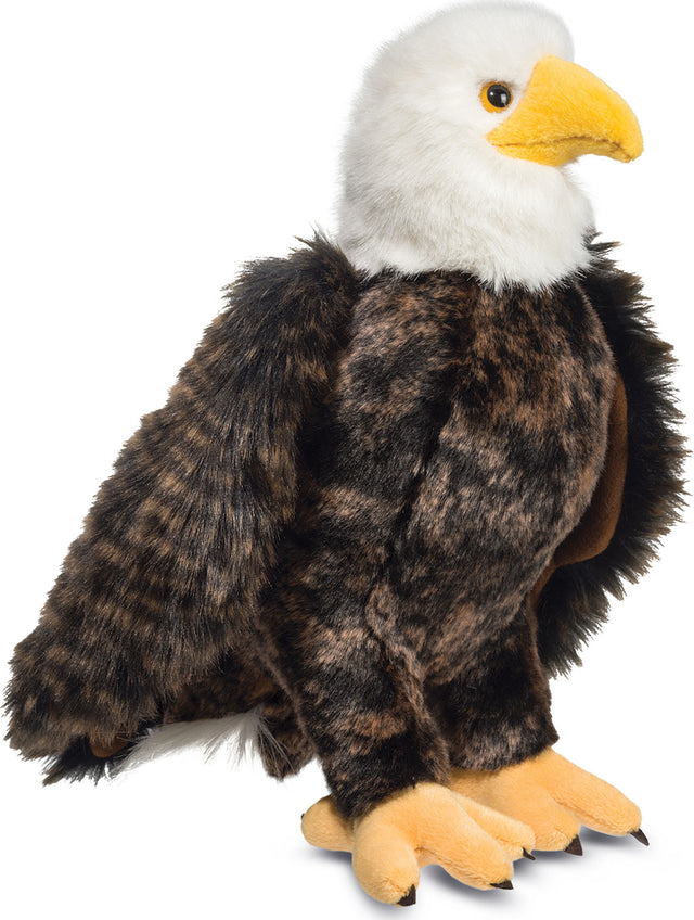 Adler Bald Eagle