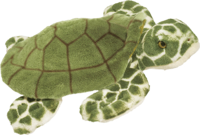 Toti Sea Turtle