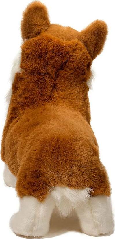 Chadwick Corgi