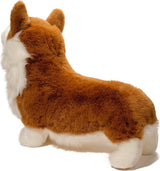 Chadwick Corgi
